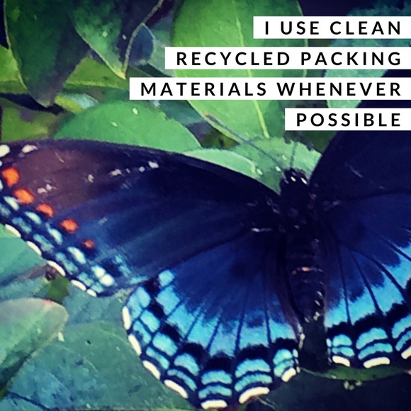 Smoke Free, Dog Friendly Closet - Picture 4 of 7